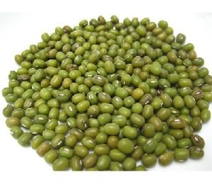 Green Mung Beans