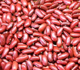 Light Red Kidney Beans