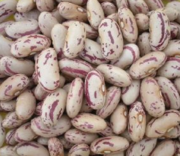 Light Speckled Kidney Beans