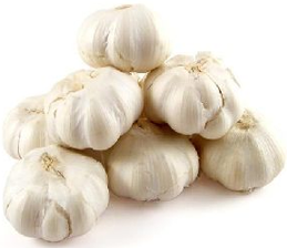 Fresh Garlic