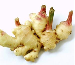  Fresh Ginger