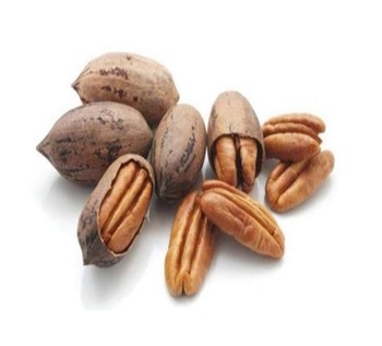 Pecan Nut