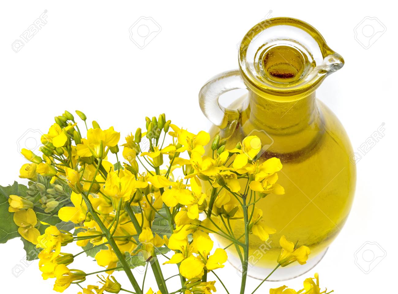 Rapeseed Oil