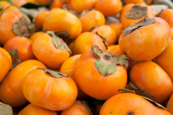 Persimmon