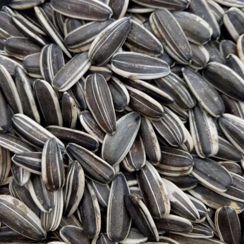 Sunflower Seeds