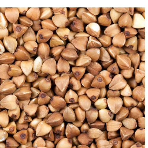 Buckwheat Seeds