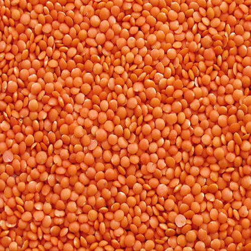 Lentils