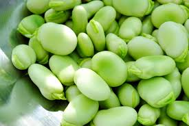 Green Broad Beans