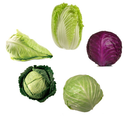 Cabbage