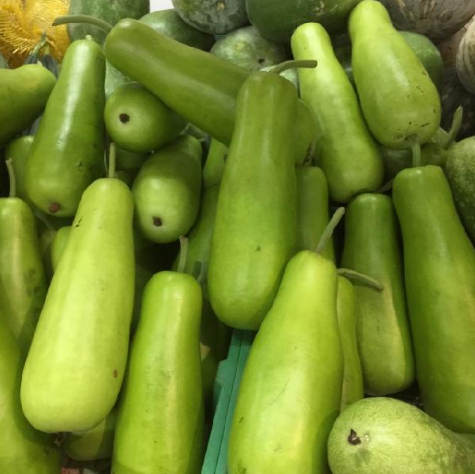 Bottle Gourd