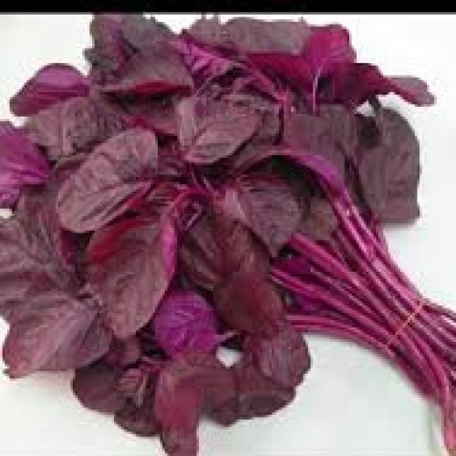 RedSpinach