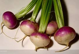 Turnip